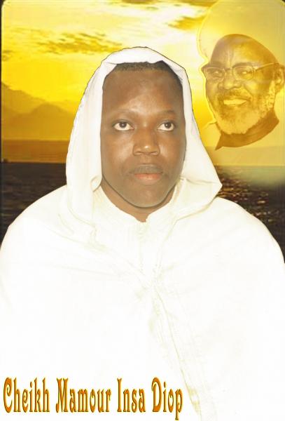 CHEIKH MAMOUR INSA DIOP